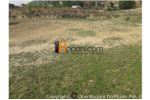 Residential land on sale at Godawari,lalitpur (6 lakh per aana )