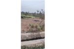 Multipurpose Land On Sale At Kawasoti, Nawalpur