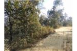 Commercial/ Residential land on sale at Panauti,Kushadevi.