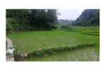 2 Ropani Commercial Land @ Dhulikhel Municipality-6,Kavreplanchowk.