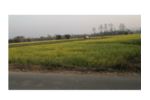 Residential/Commercial Land on Sale at Chitwan, Sauraha( 4 Kattha)